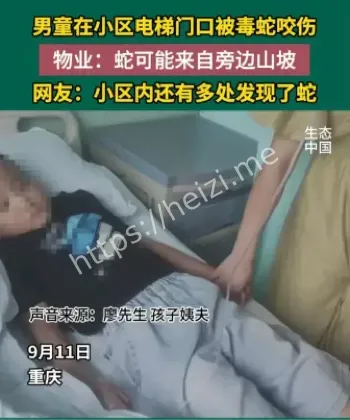 男童电梯口